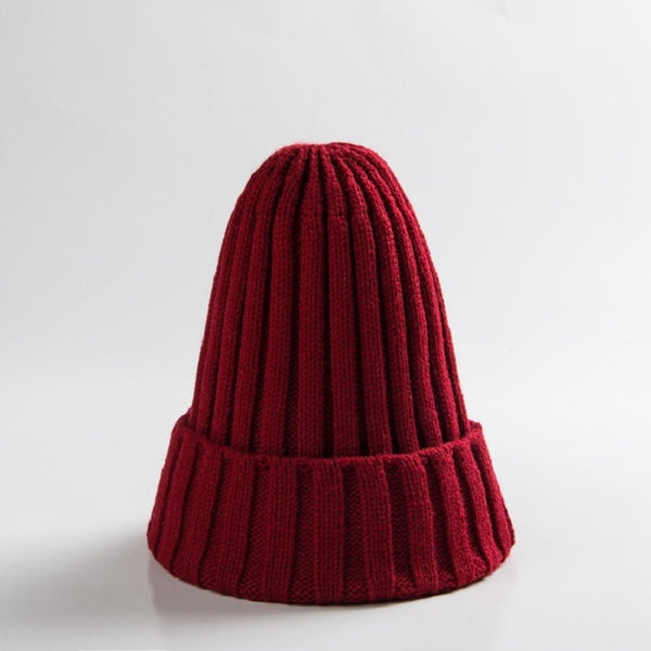 Autumn Winter Beanie